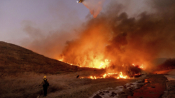 LAPD Has Suspect in Custody After Receiving Call About Possible Arson