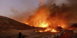 LAPD Has Suspect in Custody After Receiving Call About Possible Arson