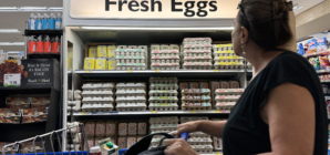 California Egg Prices Surge to Nearly $9