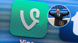 Vine Meme Coin Soars As Elon Musk Considers Resurrecting App