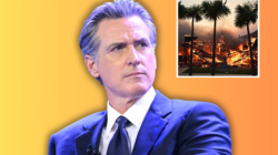 Celebrities Condemn Gavin Newsom as Fires Level Los Angeles