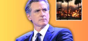 Celebrities Condemn Gavin Newsom as Fires Level Los Angeles