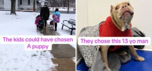 Kids Shock Everyone With Dog They Adopt From Shelter—’Didn’t Want a Puppy’