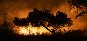 Los Angeles Continues to Face Air Quality Warnings Amid Wildfires