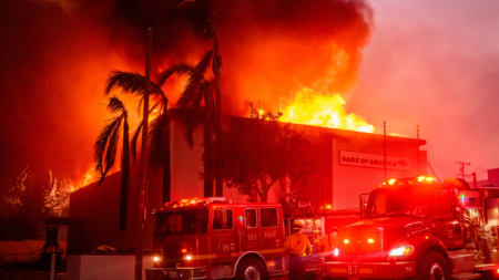 ‘Blues Brothers’ Actress, 95, Dies in LA Wildfire