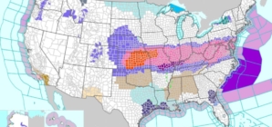 Winter Weather Warnings for 15 States As 15 Inches of Snow To Fall