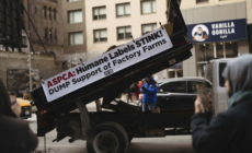 Frozen Manure Stunt: PETA Activists Arrested Outside ASPCA Manhattan Office