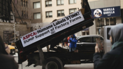 Frozen Manure Stunt: PETA Activists Arrested Outside ASPCA Manhattan Office