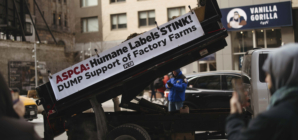 Frozen Manure Stunt: PETA Activists Arrested Outside ASPCA Manhattan Office