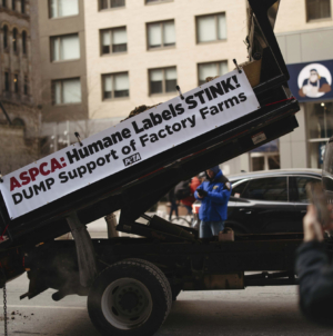 Frozen Manure Stunt: PETA Activists Arrested Outside ASPCA Manhattan Office