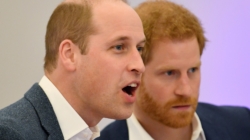 Prince William’s Caring Gesture to Harry Goes Viral