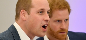 Prince William’s Caring Gesture to Harry Goes Viral