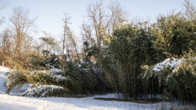 Winter Weather Warnings in 6 States as 30 Inches of Snow to Hit