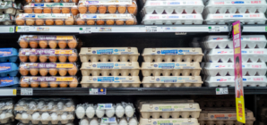 Egg Smuggling on the Rise as Americans Face Sky-High Prices