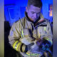 Moment Cat Rescued and Nursed Back to Health by Firefighters Goes Viral