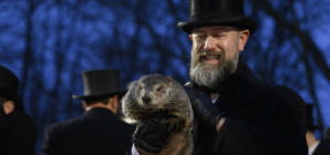 How to Livestream a Groundhog Today as He Predicts a Longer Winter or an Early Spring