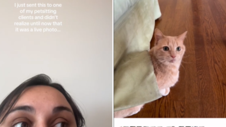 Woman Sends Pic, to Her Horror Later Realizes It Was Live Photo