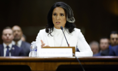 Tulsi Gabbard’s Future Could Come Down to One Republican Senator