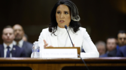 Tulsi Gabbard’s Future Could Come Down to One Republican Senator