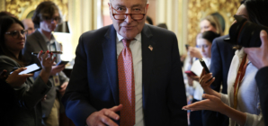 Over 15K Sign Democrat Petition Against Chuck Schumer: ‘Enough Is Enough’