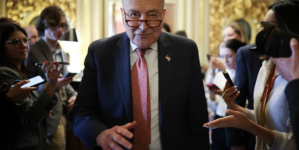 Over 15K Sign Democrat Petition Against Chuck Schumer: ‘Enough Is Enough’