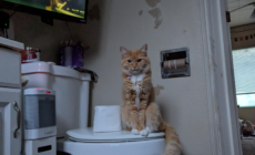 New Parent Tries to Relax in the Bathtub—Then Spots Two Eyes Staring Back