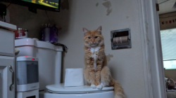 New Parent Tries to Relax in the Bathtub—Then Spots Two Eyes Staring Back