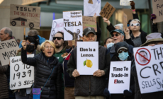 Trump Supporter Arrested for Firing Stun Gun at Tesla Protest