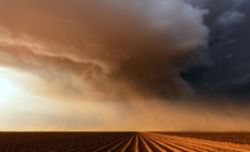 A Million People in Texas Told to Avoid Being Near Windows