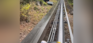 Woman Rides Rollercoaster Through Smoky Mountains, Then the Bears Appear