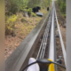 Woman Rides Rollercoaster Through Smoky Mountains, Then the Bears Appear