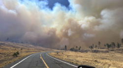 Greer Fire Update: Map Shows Arizona Blaze Spreading as Emergency Declared