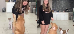 Woman Thinks She’s Filming Dog Training, Then Sees What’s in the Background