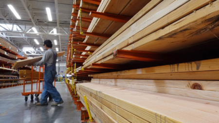 What Is ‘Superwood’? New Material Strong as Steel Nears Mass Production