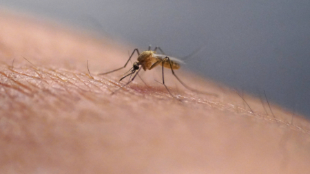 Health Officials Confirm Virus in Popular Vacation Destination