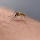 Health Officials Confirm Virus in Popular Vacation Destination