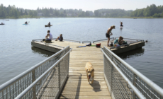 Alaska Issued With First Ever Heat Advisory