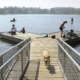 Alaska Issued With First Ever Heat Advisory