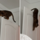 ‘Quiet Couple’ Get Noise Complaint From Neighbor, Then They Learn the Truth