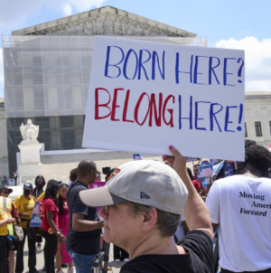 Birthright Citizenship: What Polls Show About Americans’ Views
