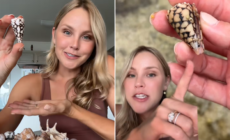 Woman Picks Up Shell—Only to Learn It’s One of The Deadliest on Earth