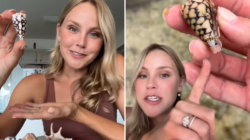 Woman Picks Up Shell—Only to Learn It’s One of The Deadliest on Earth