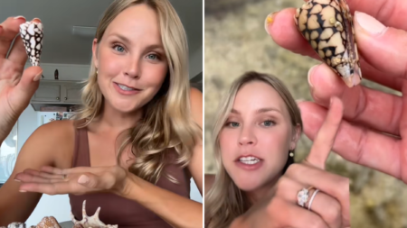 Woman Picks Up Shell—Only to Learn It’s One of The Deadliest on Earth