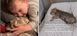 Tears as Dog Still Waits for Best Friend to Return—a Year After She Died