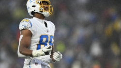 Steelers TE Donald Parham Jr. Suffers Torn Achilles