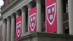 Donald Trump Hit With Major Legal Blow in Harvard Fight