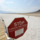 Americans Warned Not to Drink Coffee in 3 States