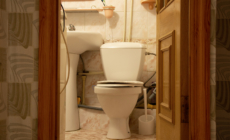 Cat Owner Woken Up at 3am, Unprepared for What They Find in the Bathroom