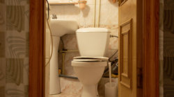 Cat Owner Woken Up at 3am, Unprepared for What They Find in the Bathroom