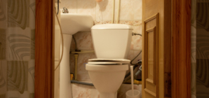 Cat Owner Woken Up at 3am, Unprepared for What They Find in the Bathroom